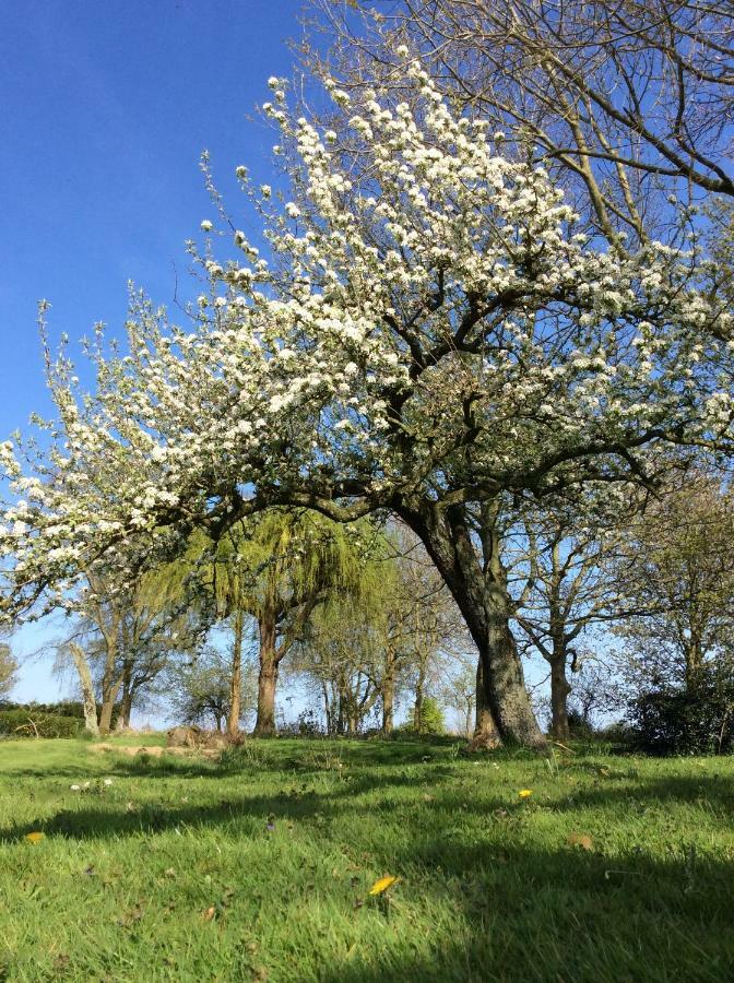 Gouweland Villa Hoogwoud Exteriör bild
