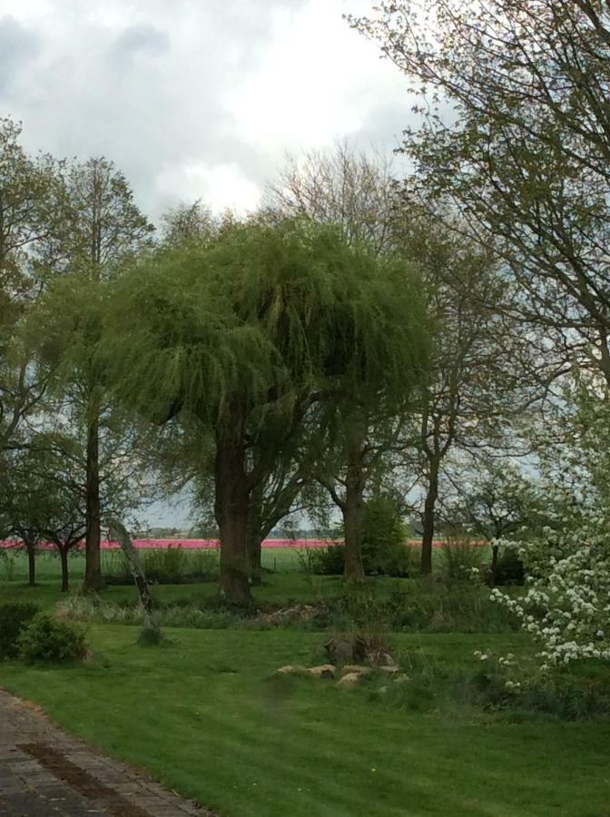 Gouweland Villa Hoogwoud Exteriör bild